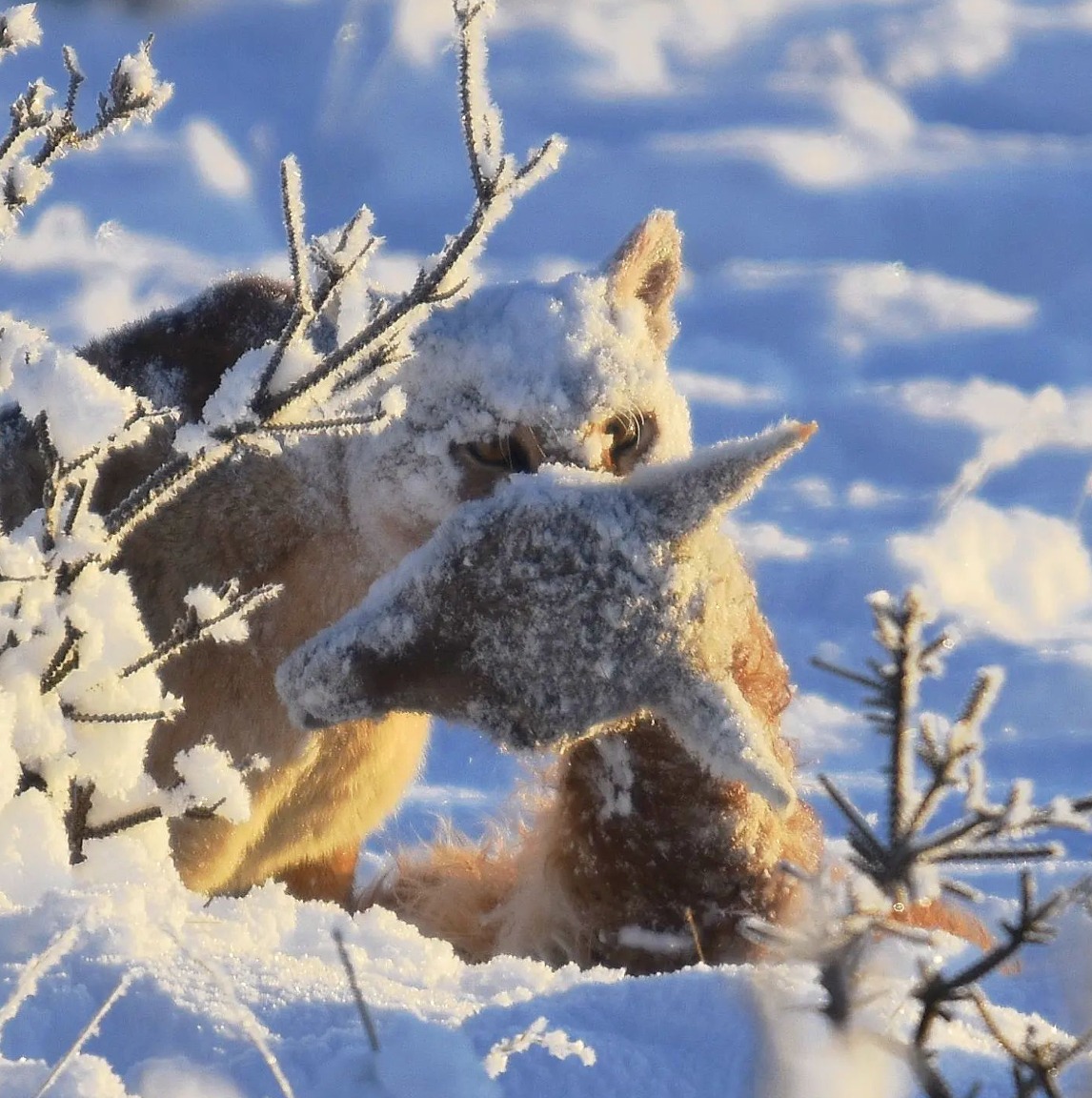 Las Torres Patagonia's First Photography Contest Closes with Over 500 Participants